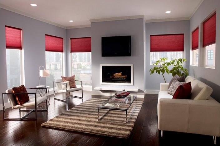 Residential Motorized Shades