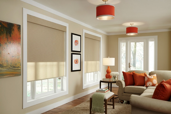 Residential Motorized Shades
